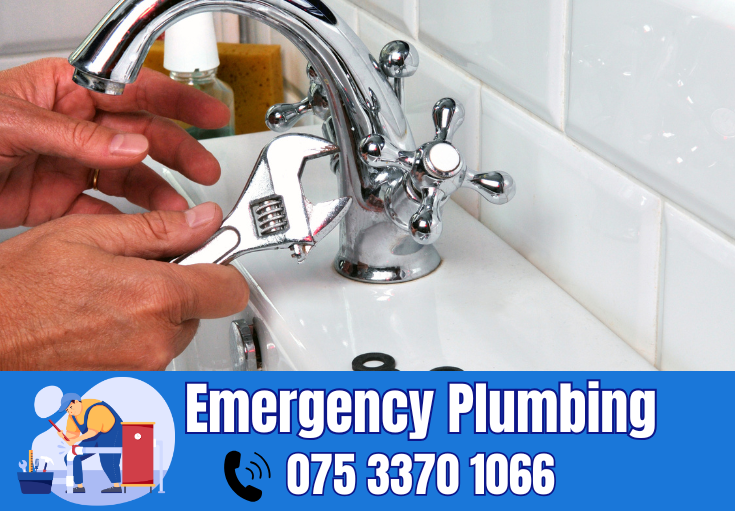  plumber Cobham